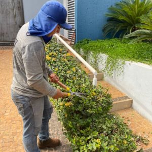 b805c06b-4b7a-417d-8032-6362f8102bde